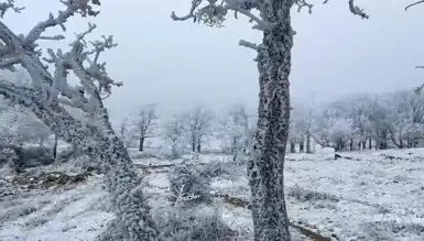 Tekirdağ'ın Ganos Dağları Kar Altında!